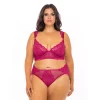 Plus Size Oh La La Cheri Harper Underwire Bra & High Waisted Panty Set 40-11624X