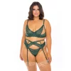 Plus Size Oh La La Cheri Louisa Lace Bra, Panty & Garter Belt Set 41-11606X