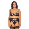 Plus Size Oh La La Cheri Ivy Underwire Lace Bra, Garter Belt & Panty Set 41-11608X