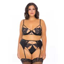 Plus Size Oh La La Cheri Ivy Underwire Lace Bra, Garter Belt & Panty Set 41-11608X